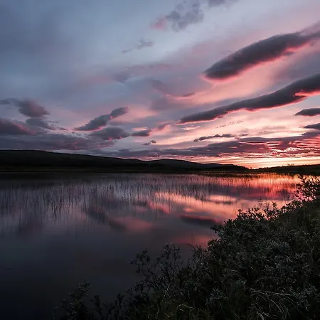 Chalet Bringnes Camp