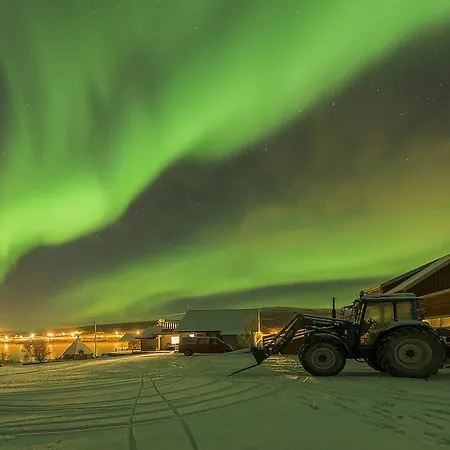 Chalet Bringnes Camp *